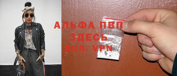 сатива Ельня