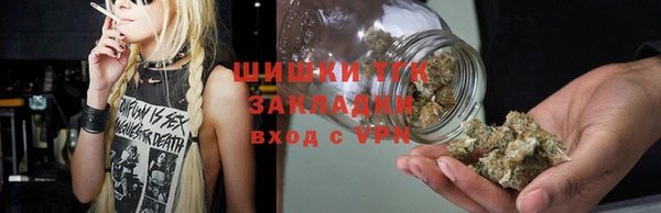 сатива Ельня