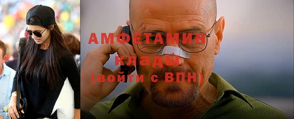сатива Ельня