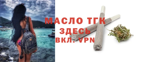 сатива Ельня