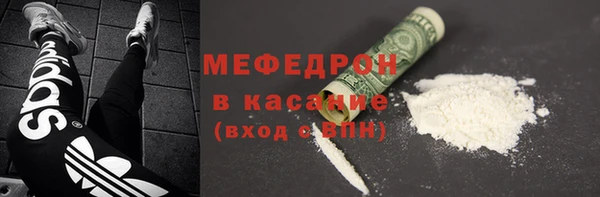сатива Ельня