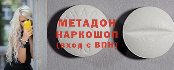 сатива Ельня