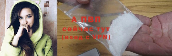эйфоретик Елизово
