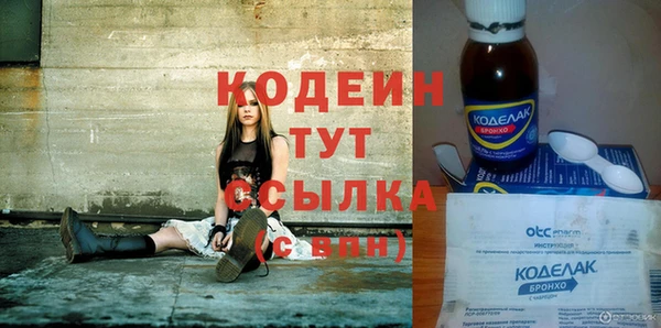 сатива Ельня