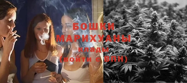 сатива Ельня