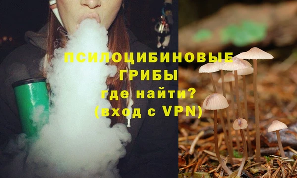 сатива Ельня