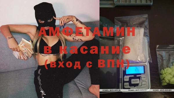 сатива Ельня