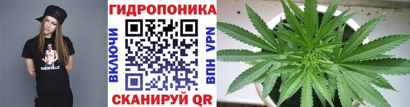 Купить где  Дмитровск  МАРИХУАНА SATIVA & INDICA 